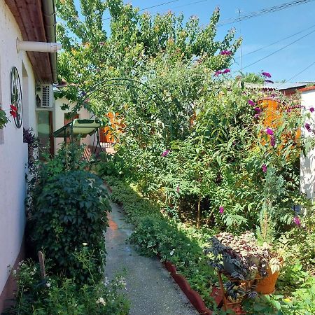 Casa Calin Villa Tulcea Esterno foto
